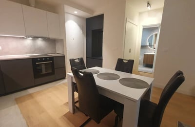 Rent of a new 2-room apartment, 56 m², Belgrade, Serbia